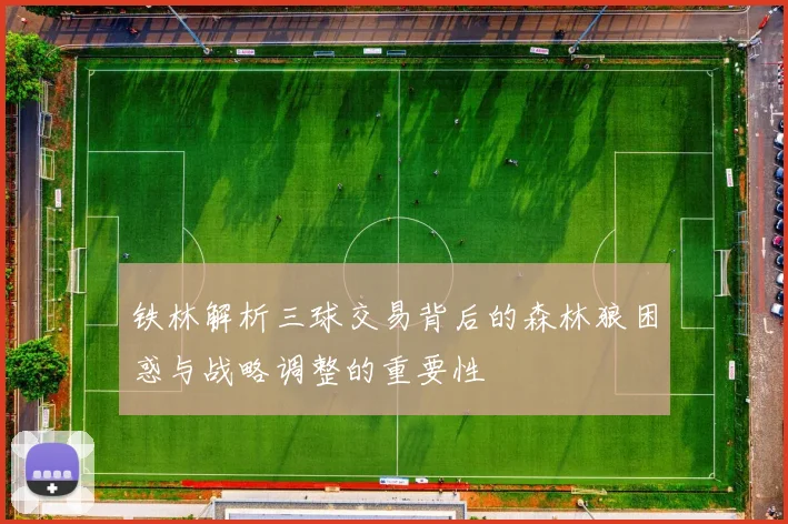 铁林解析三球交易背后的森林狼困惑与战略调整的重要性